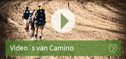 Op maat gemaakte Camino reizen