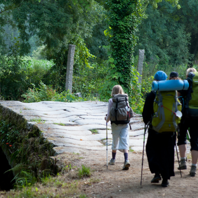 Camino Portugues Lopen (Tui - Santiago)