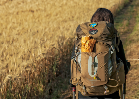 Camino Frances (Logroño - Leon)