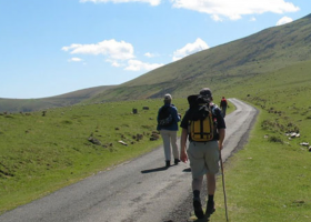Camino Francesc(St.Jean-Pied-de-Port - Logroño)
