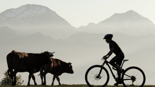 Mountainbiken in het Noorden van Spanje