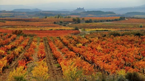Waarom de herfst een goed seizoen is om Noord Spanje te bezoeken
