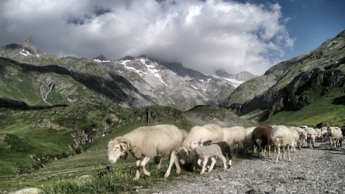 Timelapse St-Jean-Pied-de-Port naar Roncesvalles